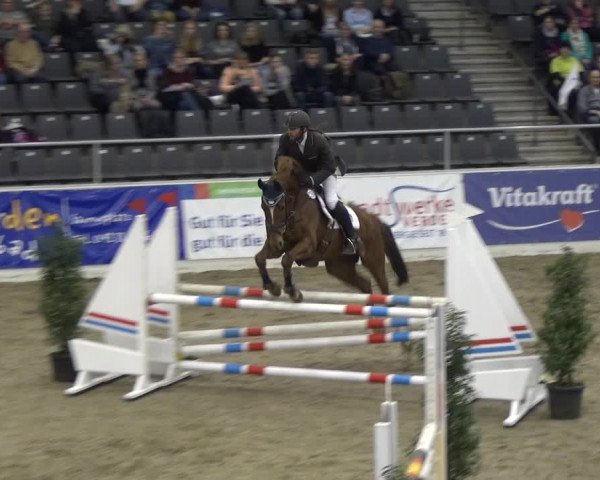 VER-Dinale 2018 - Verdener Hallenreitturnier