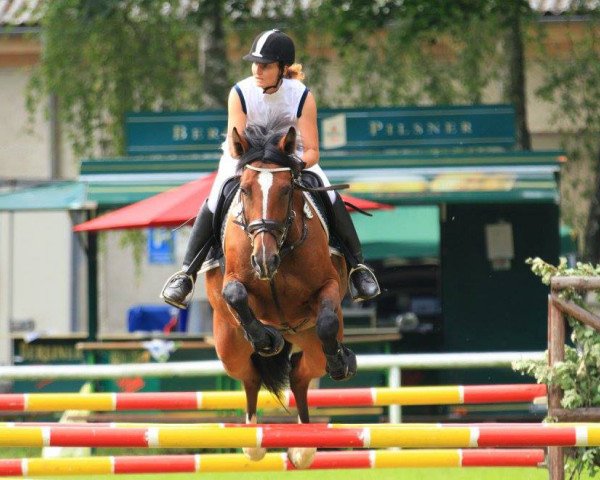 broodmare Zara 118 (Westphalian, 2010, from Zambesi TN)