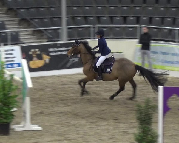 VER-Dinale 2018 - Verdener Hallenreitturnier