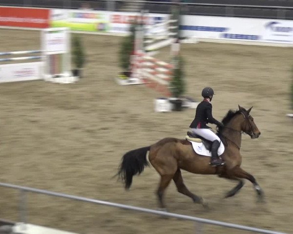 VER-Dinale 2018 - Verdener Hallenreitturnier
