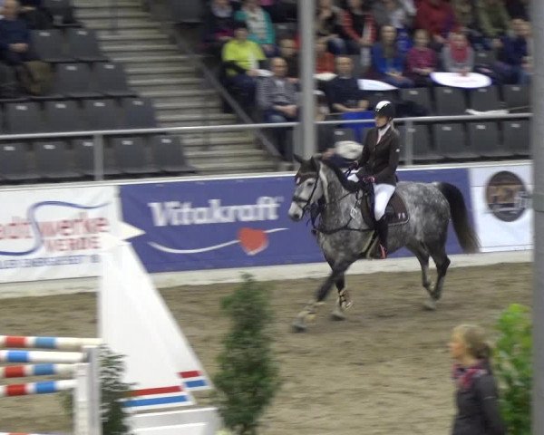 VER-Dinale 2018 - Verdener Hallenreitturnier