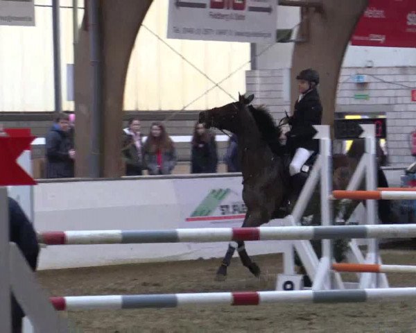 Reitturnier Barlo-Bocholt 2018