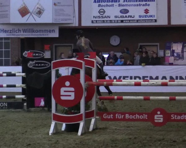 Reitturnier Barlo-Bocholt 2018