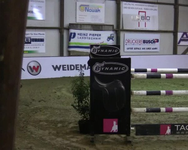 Reitturnier Barlo-Bocholt 2018