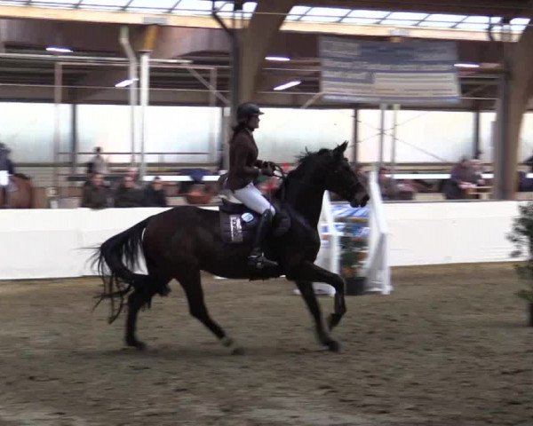 Reitturnier Barlo-Bocholt 2018