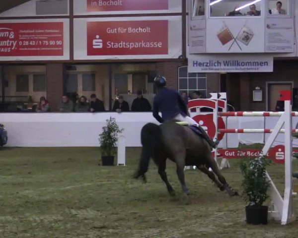 Reitturnier Barlo-Bocholt 2018