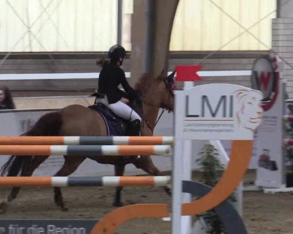 Reitturnier Barlo-Bocholt 2018