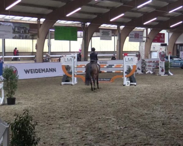 Reitturnier Barlo-Bocholt 2018