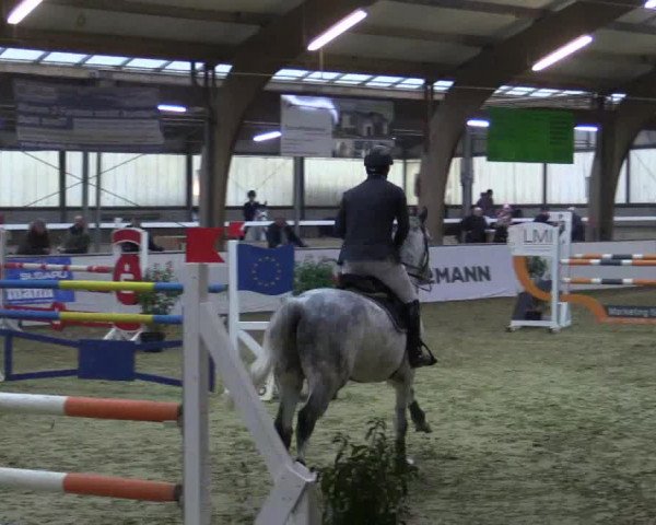 Reitturnier Barlo-Bocholt 2018
