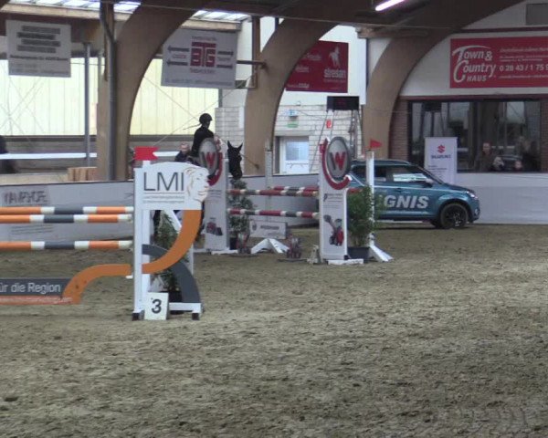Reitturnier Barlo-Bocholt 2018