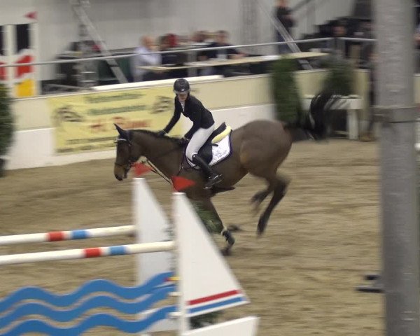 VER-Dinale 2018 - Verdener Hallenreitturnier
