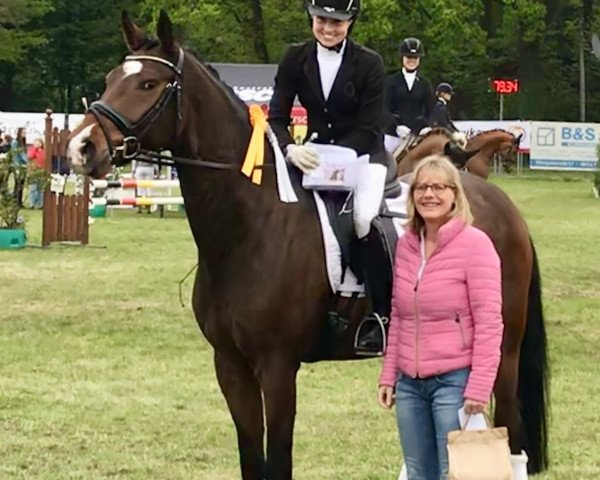 dressage horse Fürst zu Bentlage (Oldenburg, 2013, from Fidertanz)