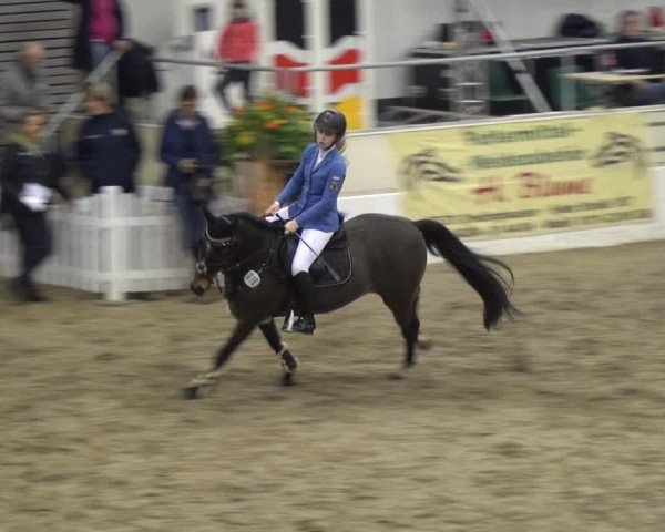VER-Dinale 2018 - Verdener Hallenreitturnier