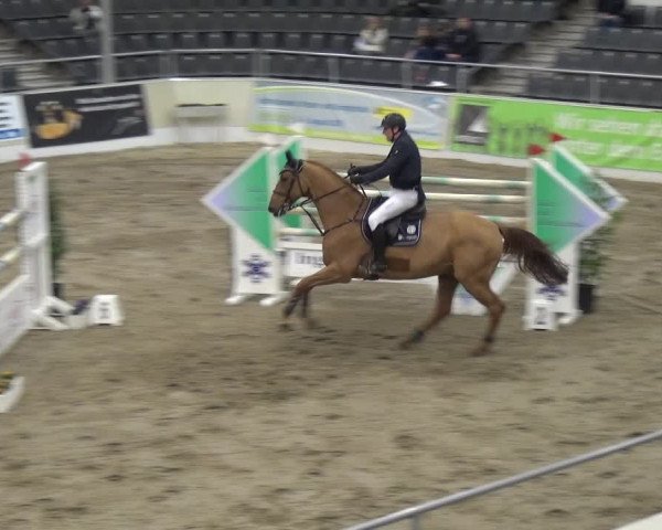 VER-Dinale 2018 - Verdener Hallenreitturnier