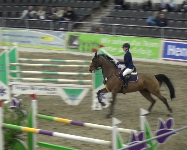 VER-Dinale 2018 - Verdener Hallenreitturnier