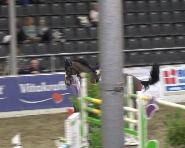 VER-Dinale 2018 - Verdener Hallenreitturnier