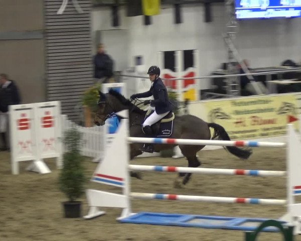 VER-Dinale 2018 - Verdener Hallenreitturnier