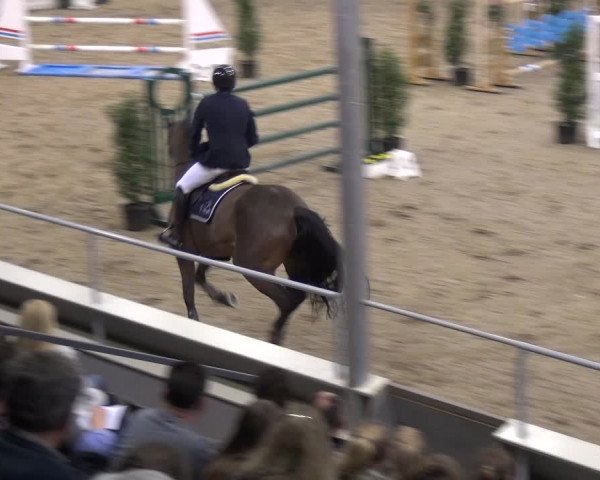VER-Dinale 2018 - Verdener Hallenreitturnier