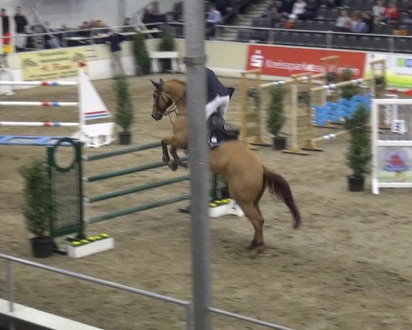 VER-Dinale 2018 - Verdener Hallenreitturnier