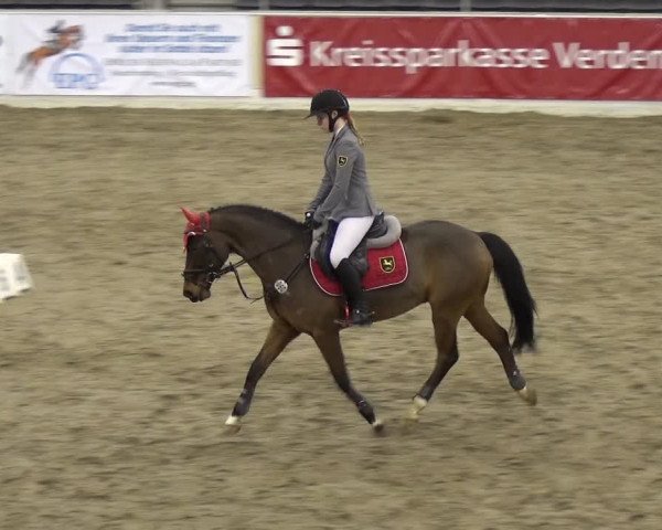 VER-Dinale 2018 - Verdener Hallenreitturnier