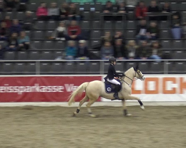 VER-Dinale 2018 - Verdener Hallenreitturnier