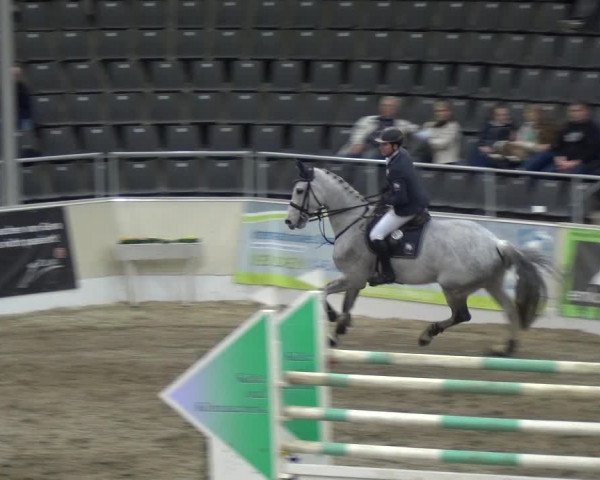 VER-Dinale 2018 - Verdener Hallenreitturnier