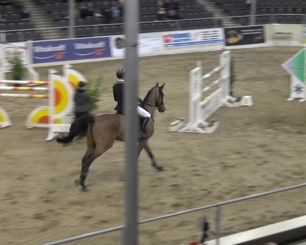VER-Dinale 2018 - Verdener Hallenreitturnier