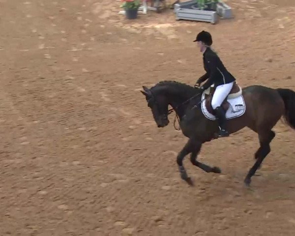 Reitturnier Kreuth 2018