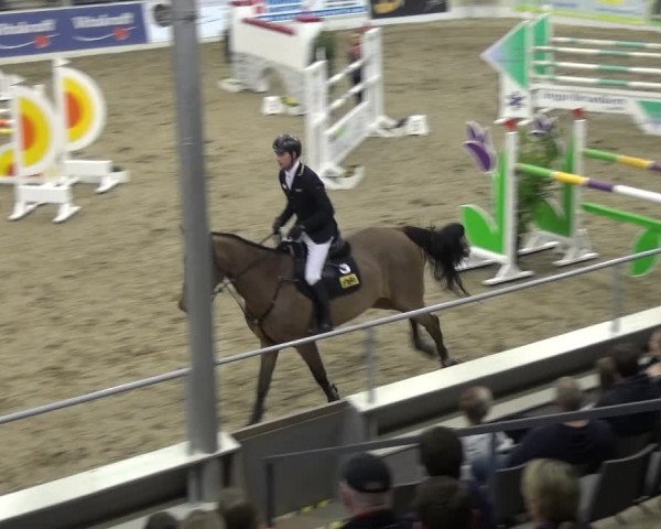 VER-Dinale 2018 - Verdener Hallenreitturnier