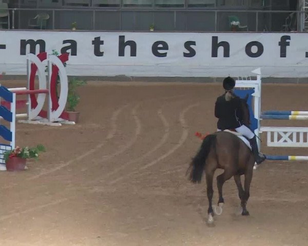 Reitturnier Kreuth 2018