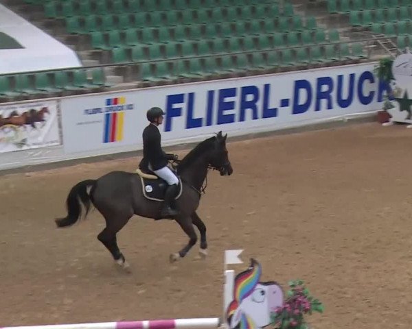 Reitturnier Kreuth 2018