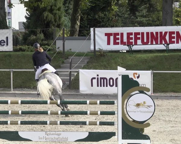 Reitturnier Durmersheim-Hardt 2021