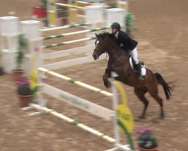 Reitturnier Kreuth 2018