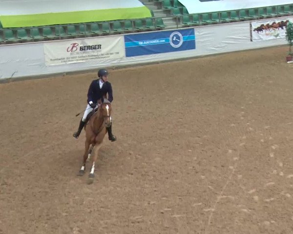 Reitturnier Kreuth 2018