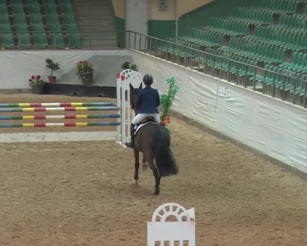 Reitturnier Kreuth 2018