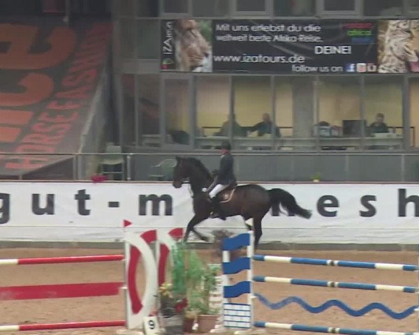 Reitturnier Kreuth 2018