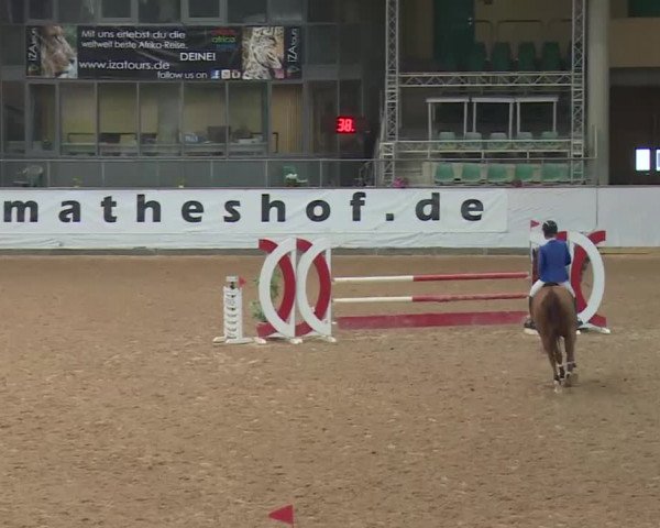 Reitturnier Kreuth 2018