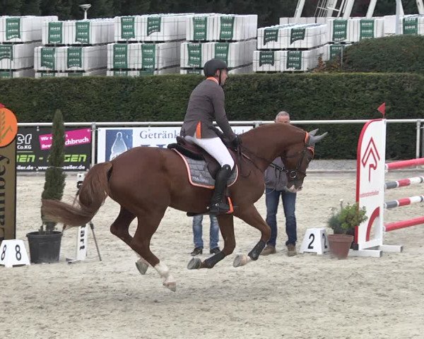 Reitturnier Durmersheim-Hardt 2021