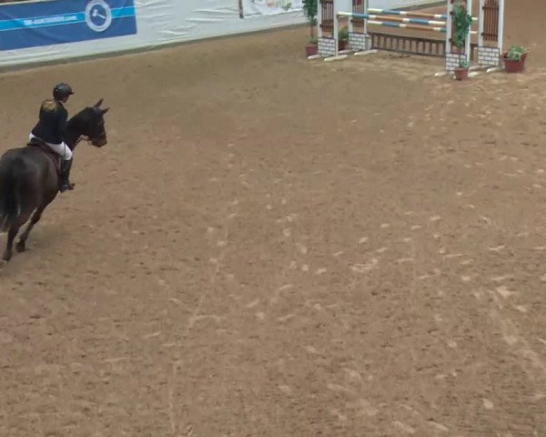 Reitturnier Kreuth 2018