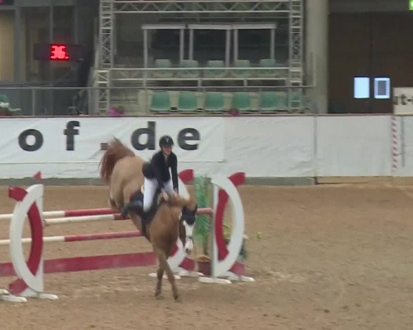 Reitturnier Kreuth 2018