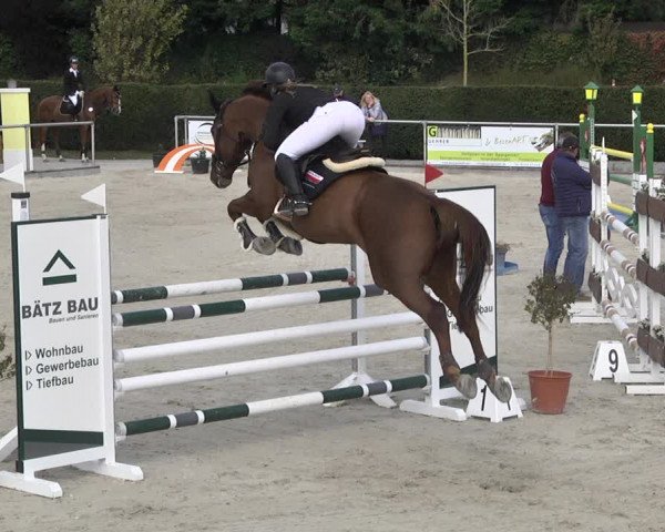 Reitturnier Durmersheim-Hardt 2021