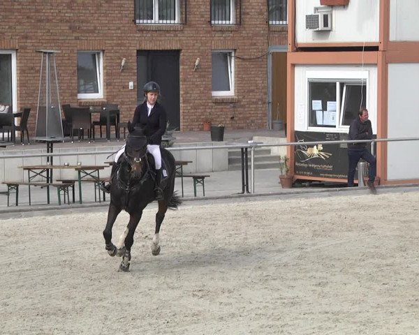 Reitturnier Durmersheim-Hardt 2021