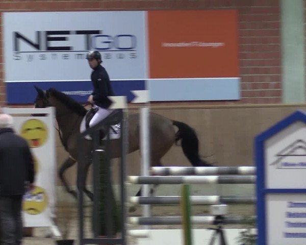 Reitturnier Heiden 2018