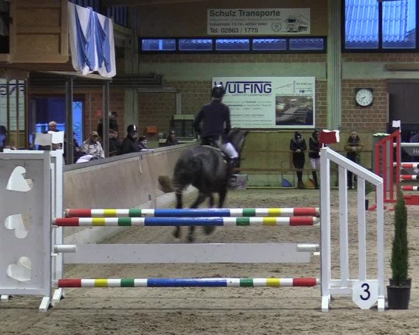 Reitturnier Heiden 2018