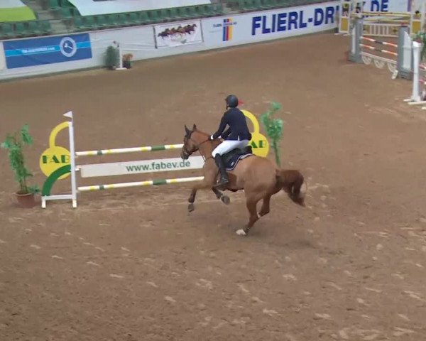 Reitturnier Kreuth 2018