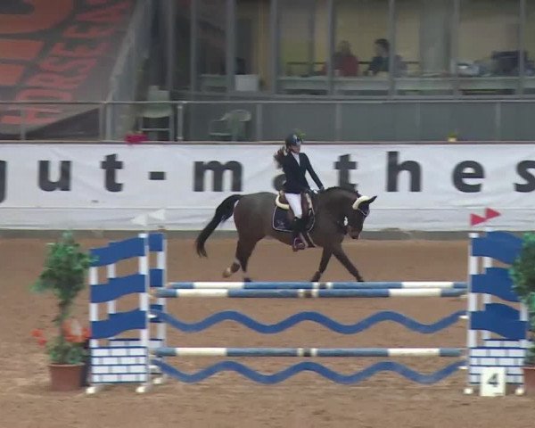 Reitturnier Kreuth 2018
