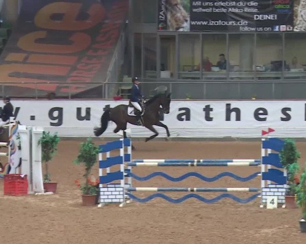 Reitturnier Kreuth 2018