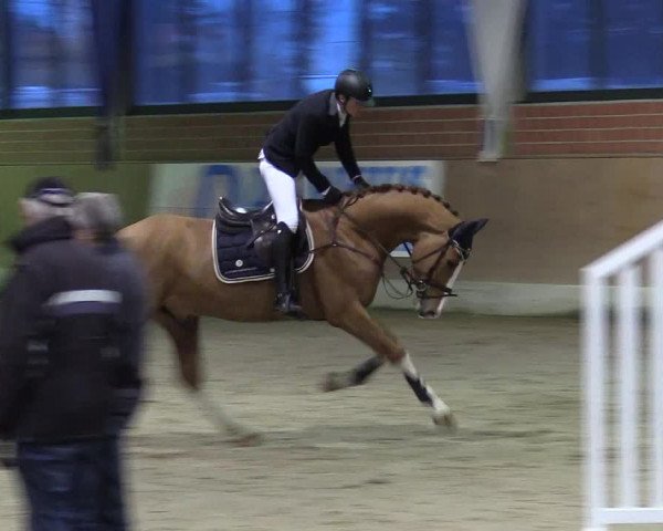 Reitturnier Heiden 2018