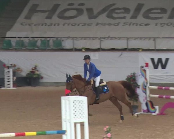 Reitturnier Kreuth 2018