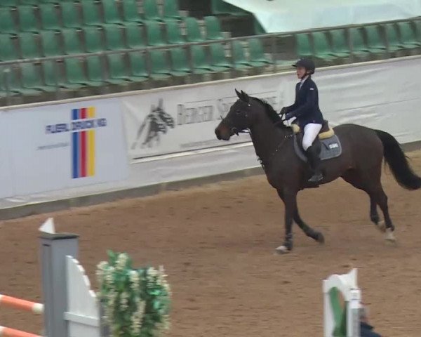 Reitturnier Kreuth 2018